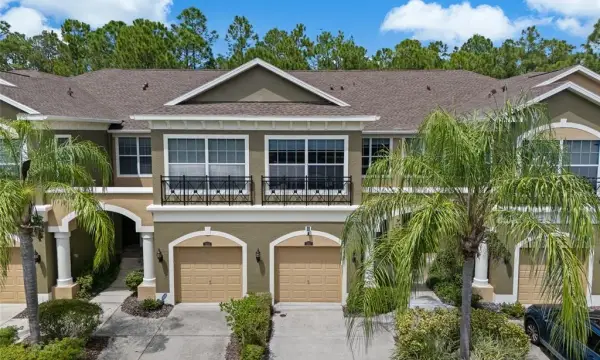 12612 Silverdale Street, Tampa, FL, 33626