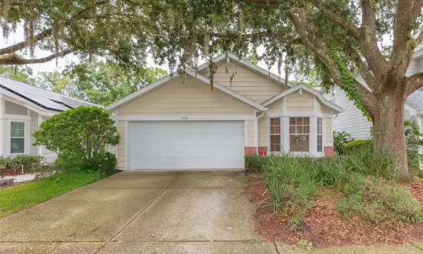 5161 Sterling Manor Drive, Tampa, FL, 33647