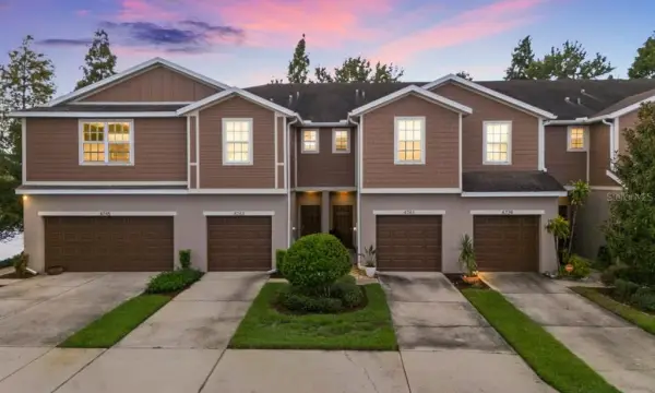 4741 White Sanderling Court, Tampa, FL, 33619
