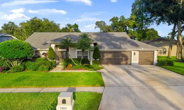 3905 Northridge Drive, Valrico, FL, 33596