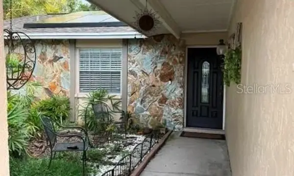 806 Proclamation Drive, Tampa, FL, 33613