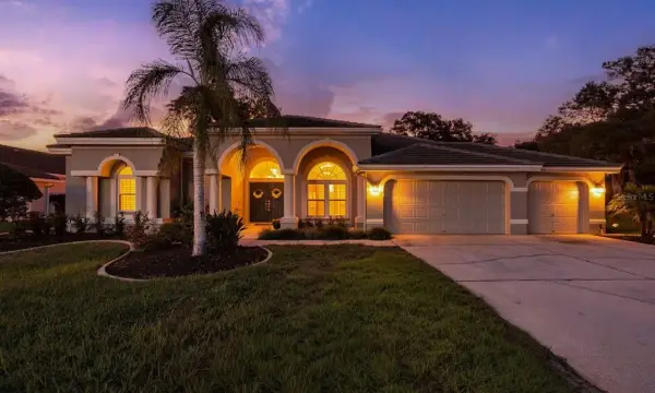 1003 Kings Way Lane, Tarpon Springs, FL, 34688