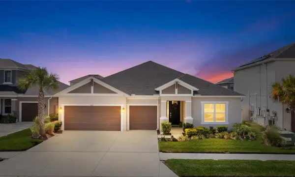 2405 High Tides Way, Wesley Chapel, FL, 33543