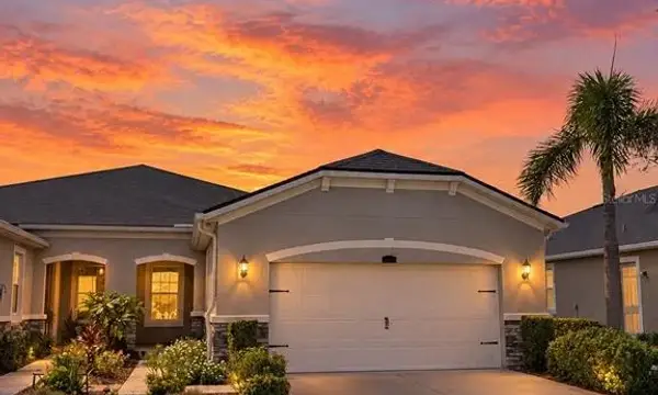 11631 Weathered Felling Drive, Riverview, FL, 33569