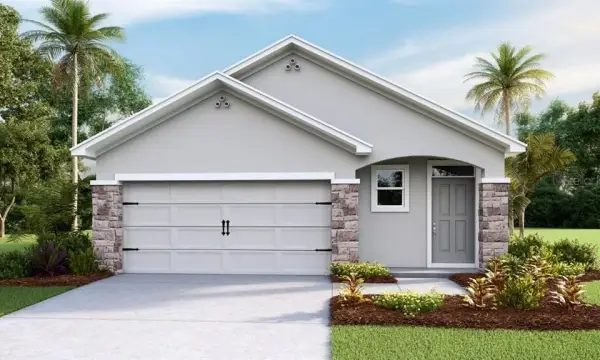 9854 Brave Buck Avenue, Land O Lakes, FL, 34638