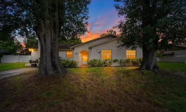 1807 Nova Drive, Valrico, FL, 33596