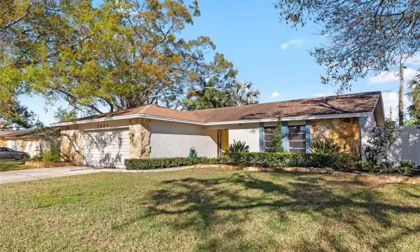 3603 Marco Drive, Tampa, FL, 33614