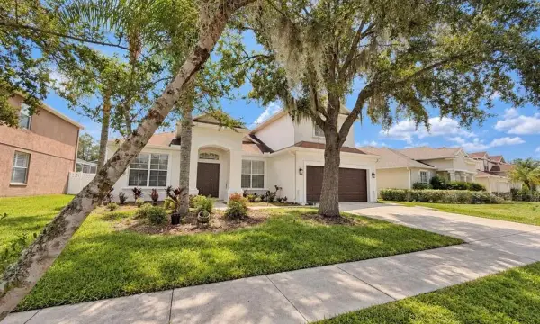 27042 Firebush Drive, Wesley Chapel, FL, 33544