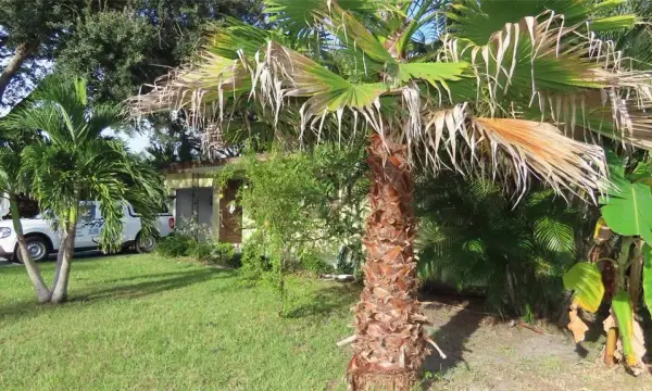 1841 West Drive, Clearwater, FL, 33755