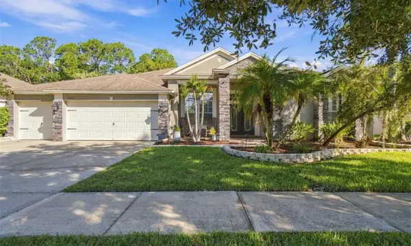 26221 Sword Dancer Drive, Wesley Chapel, FL, 33544