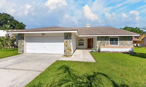 12007 Misty Brook Court, Tampa, FL, 33635