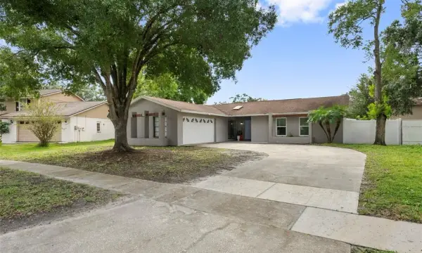 4010 Braesgate Lane, Tampa, FL, 33624