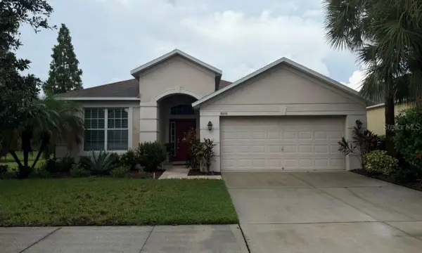 8606 Deep Maple Drive, Riverview, FL, 33578
