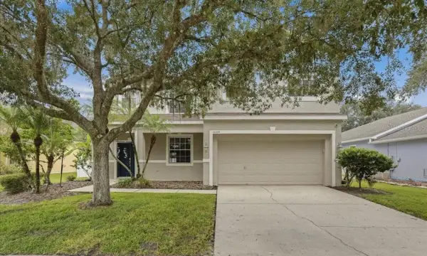 19149 Dove Creek Drive, Tampa, FL, 33647