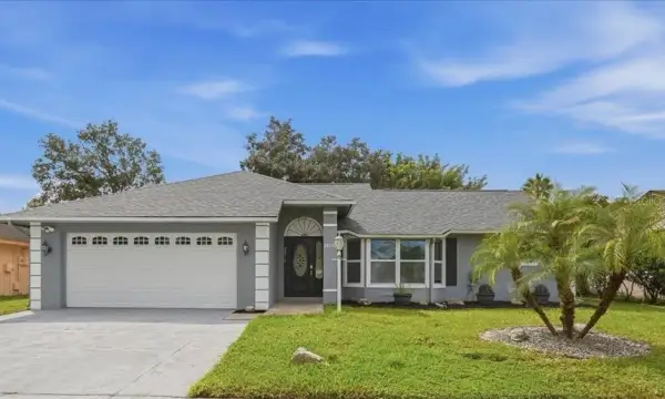 28710 Twinbrook Lane, Wesley Chapel, FL, 33543