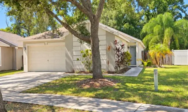 11125 Lake Tahoe Dr, Riverview, FL, 33569