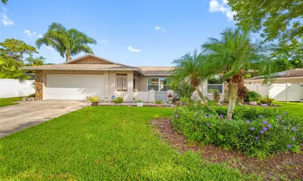 3024 Marlo Boulevard, Clearwater, FL, 33759