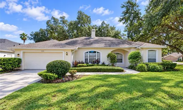 2255 Eagle Bluff Drive, Valrico, FL, 33596