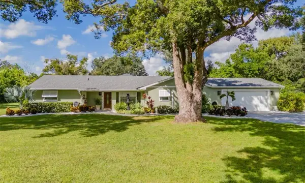 2606 Brucken Road, Valrico, FL, 33596