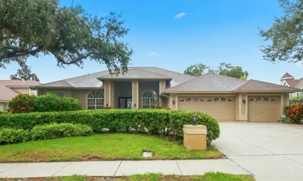 3763 Executive Drive, Palm Harbor, FL, 34685