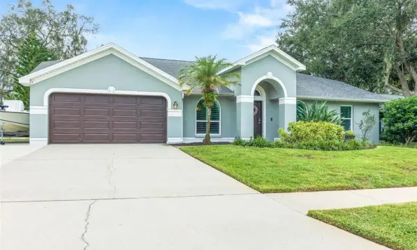 12417 Windswept Avenue, Riverview, FL, 33569