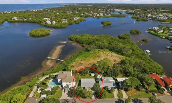 402 Orchid Lane, Palm Harbor, FL, 34683