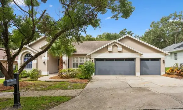 1707 La Forest Avenue, Safety Harbor, FL, 34695