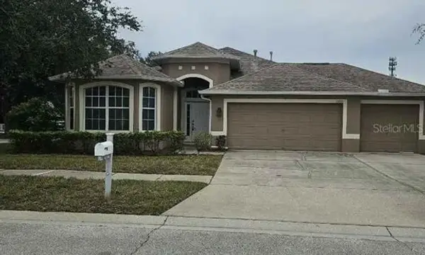 12721 Standbridge Drive, Riverview, FL, 33579
