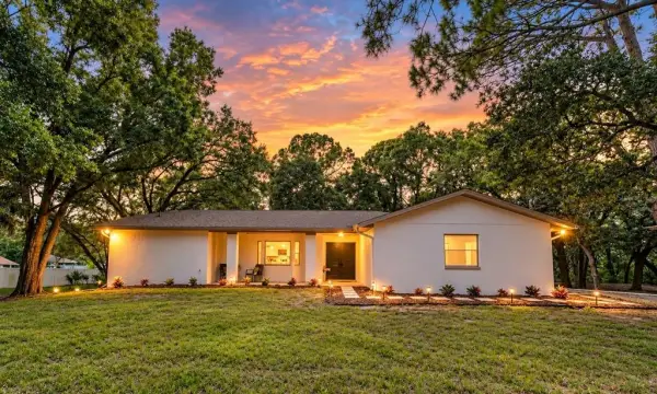 950 Waverly Street, Oldsmar, FL, 34677