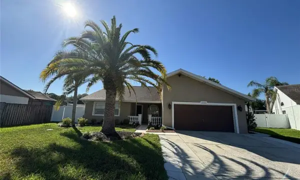 12005 Misty Brook Court, Tampa, FL, 33635