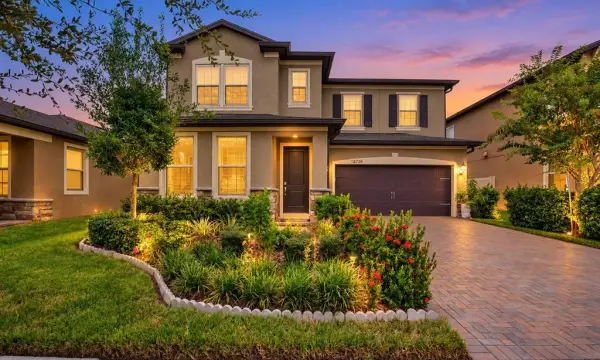 18738 Birchwood Groves Drive, Lutz, FL, 33558