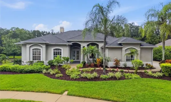 4034 Executive Drive, Palm Harbor, FL, 34685