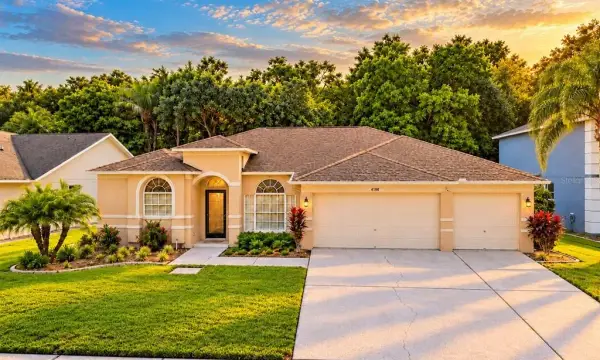 4798 Augusta Avenue, Oldsmar, FL, 34677