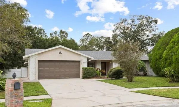 15804 Ironware Place, Tampa, FL, 33624