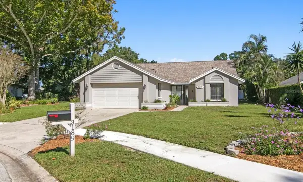 3189 Pine Forest Court, Palm Harbor, FL, 34684