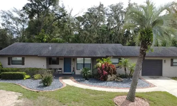 3204 Country Side Street, Brandon, FL, 33511
