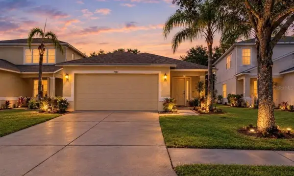 7746 Carriage Pointe Drive, Gibsonton, FL, 33534