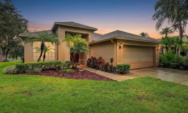 8417 Fenwick Avenue, Tampa, FL, 33647