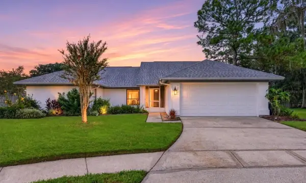 18301 Big Pond Way, Tampa, FL, 33647