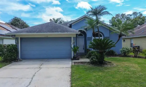 1709 Scotch Pine Drive, Brandon, FL, 33511