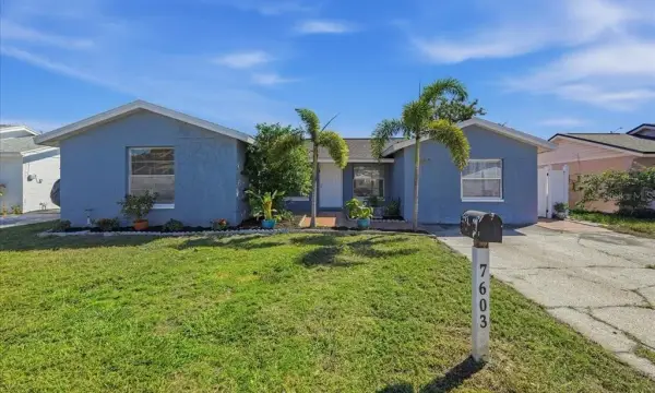 7603 Woodland Oaks Court, Tampa, FL, 33615