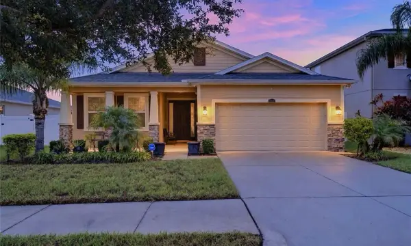 10619 Scenic Hollow Drive, Riverview, FL, 33578