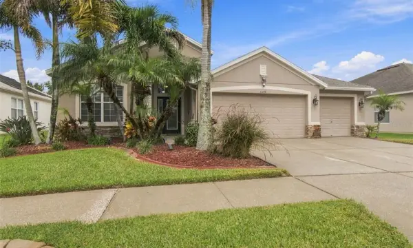11009 Rockledge View Dr, Riverview, FL, 33579