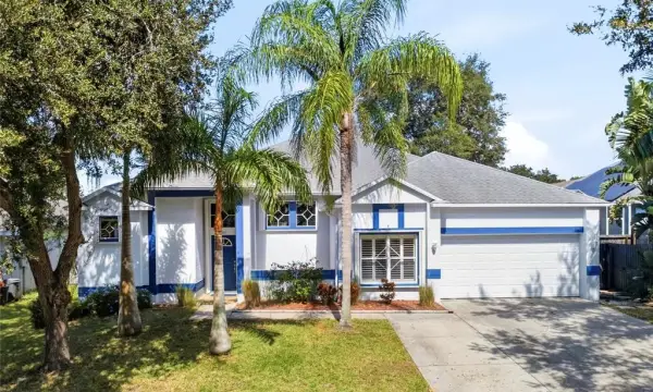 1187 Blackrush Drive, Tarpon Springs, FL, 34689