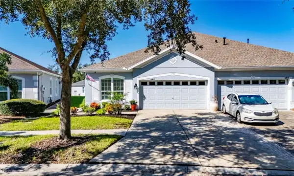 6817 Surrey Oak Drive, Apollo Beach, FL, 33572