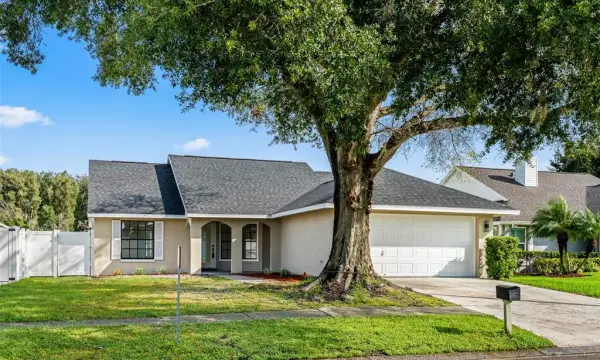 7131 Hollowell Drive, Tampa, FL, 33634