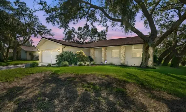874 Pinewood Terrace W, Palm Harbor, FL, 34683