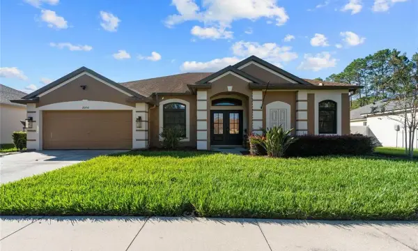 20750 Orchardtown Drive, Land O Lakes, FL, 34638