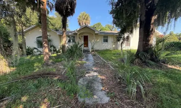 965 Palmetto Drive, Safety Harbor, FL, 34695