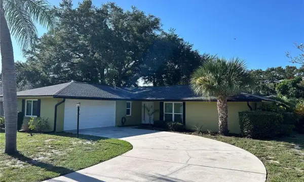 2019 Forest View Drive, Palm Harbor, FL, 34683